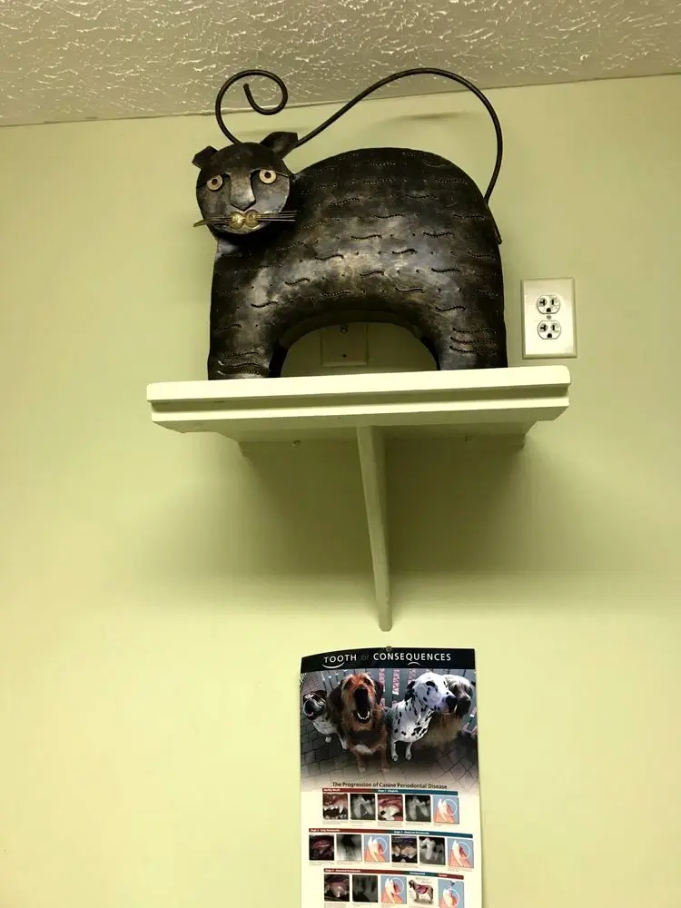 Clays Mill Veterinary Clinic Clays Mill Veterinary Clinic