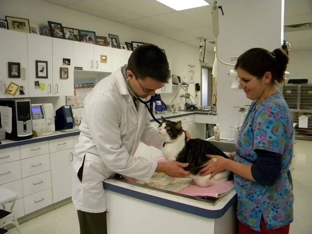 Carver Lake Veterinary Center
