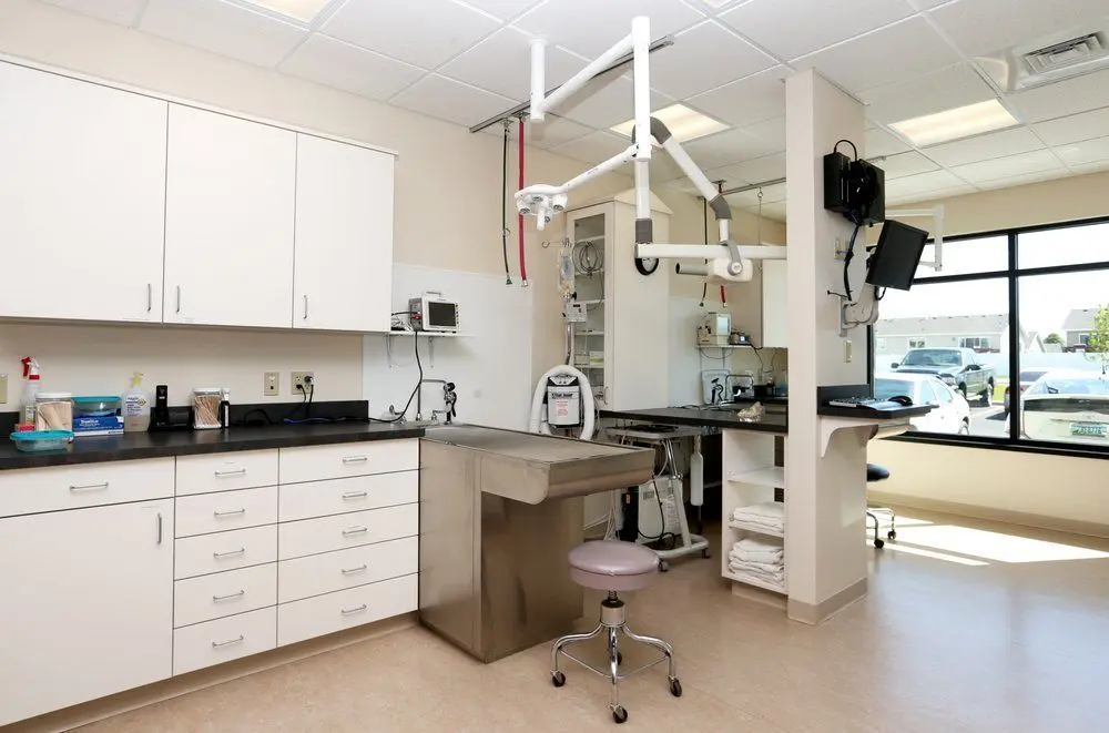 Best Friends Animal Hospital and Urgent Care Center