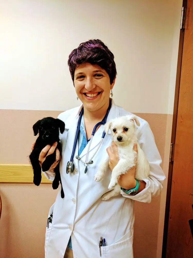 West Mountain Animal Hospital West Mountain Animal Hospital