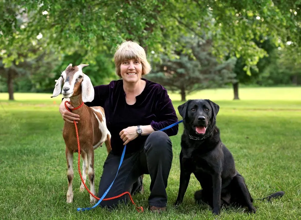 Apple Valley Animal Hospital Apple Valley Animal Hospital