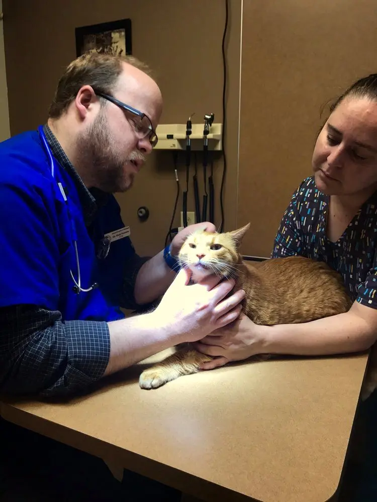 Animal Hospital of Parkland Animal Hospital of Parkland