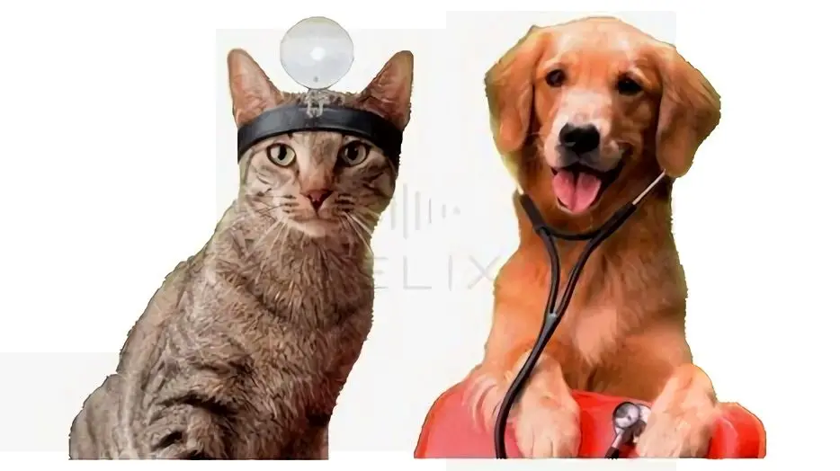 Greenbrier Veterinary Hospital Greenbrier Veterinary Hospital
