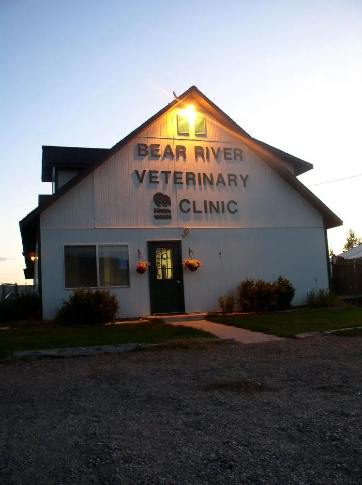 Bear River Veterinary Clinic Bear River Veterinary Clinic
