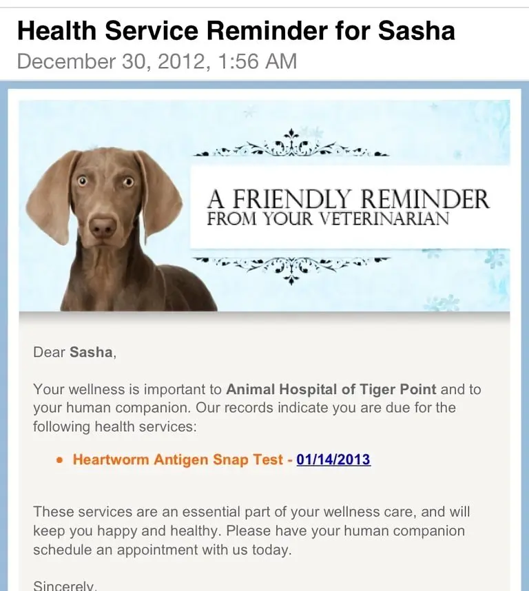 Animal Hospital of Tiger Point