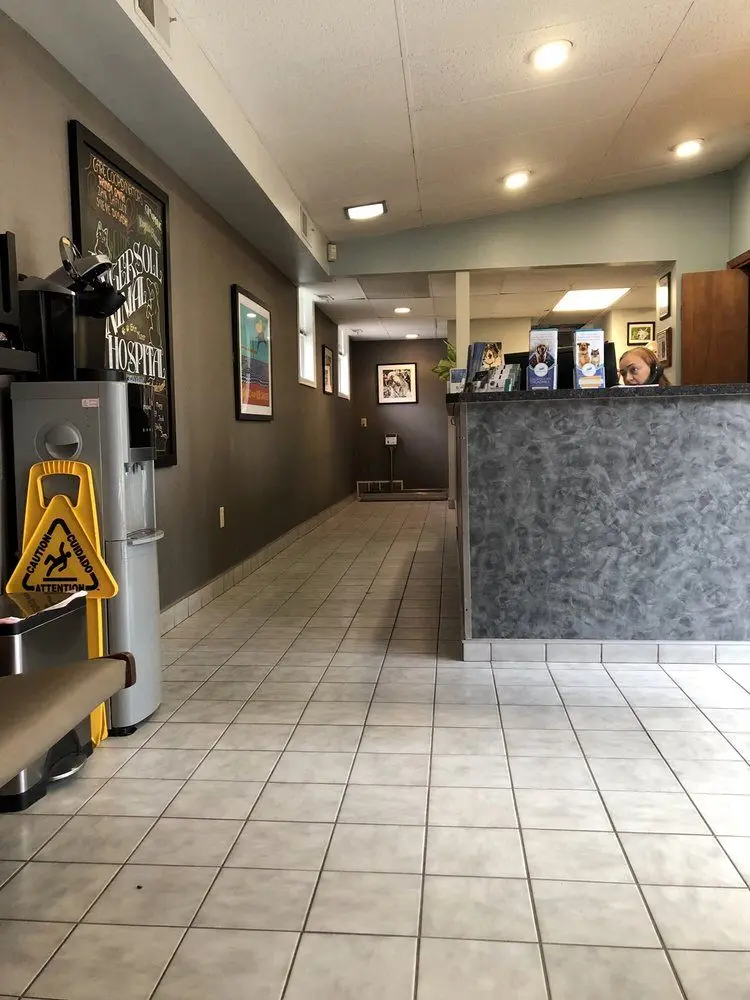 Ingersoll Animal Hospital Ingersoll Animal Hospital