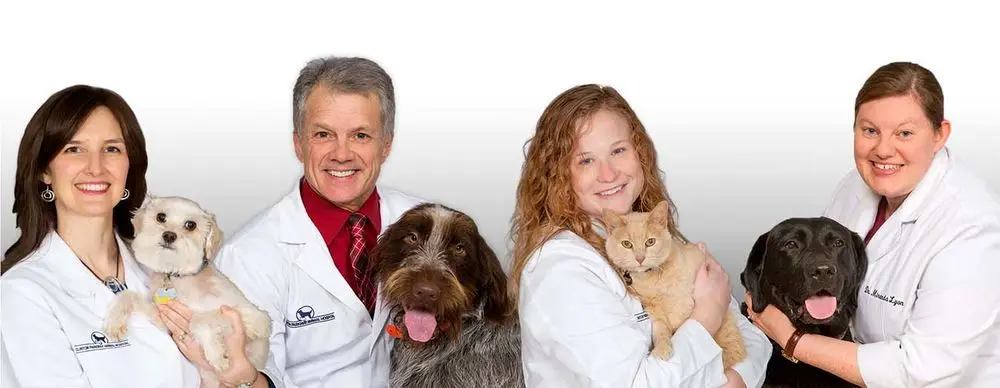 Clinton Parkway Animal Hospital Clinton Parkway Animal Hospital