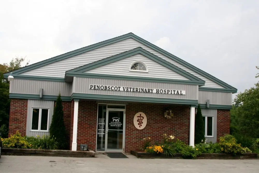 Penobscot Veterinary Services Penobscot Veterinary Services