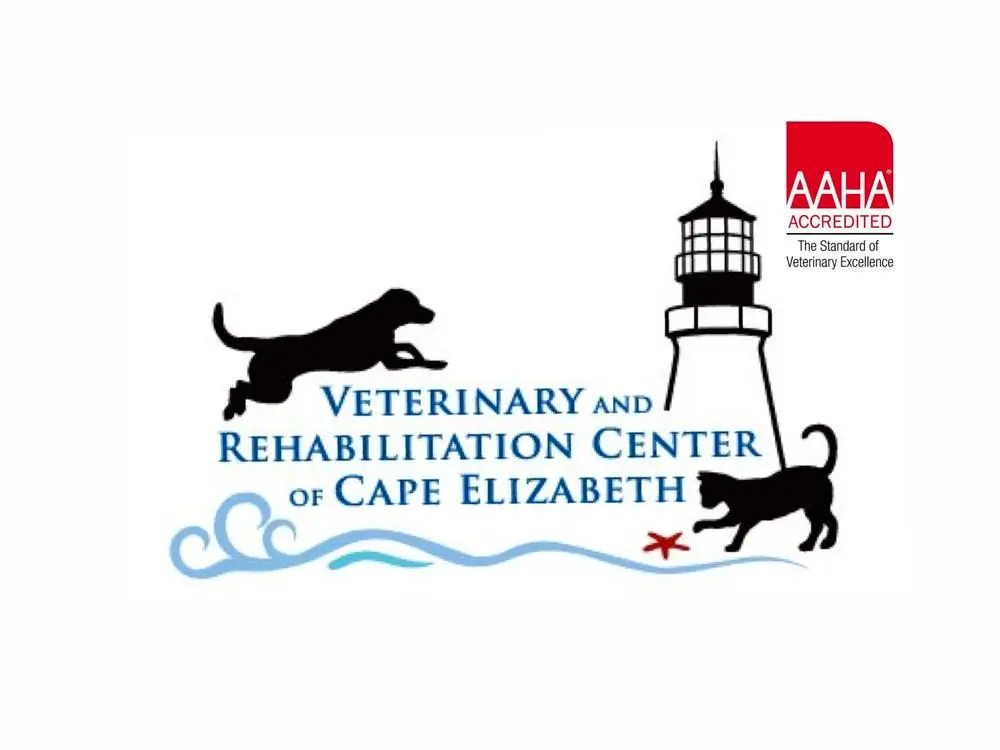 Veterinary & Rehabilitation Center Of Cape Elizabeth