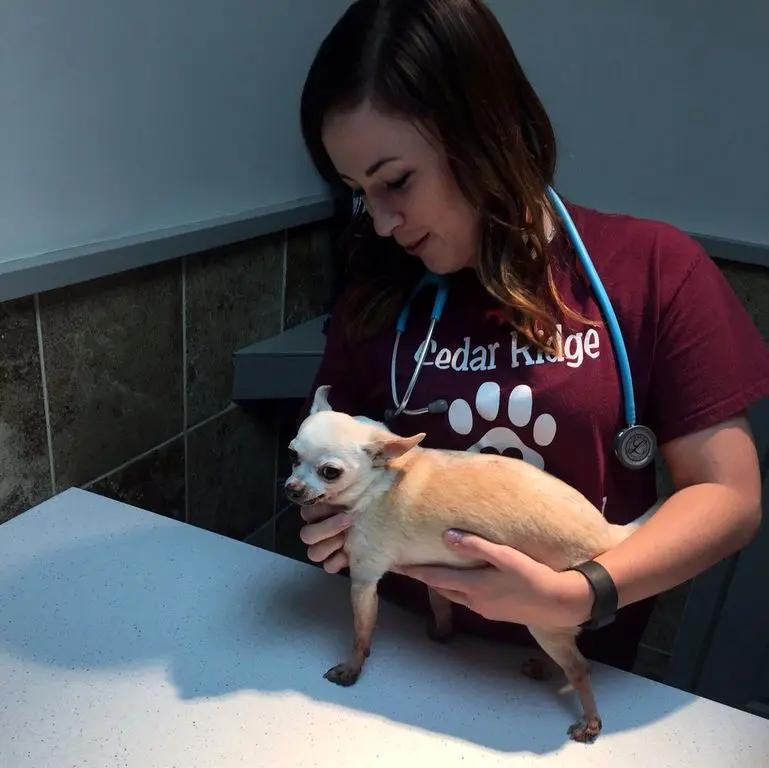 Cedar Ridge Animal Hospital Cedar Ridge Animal Hospital