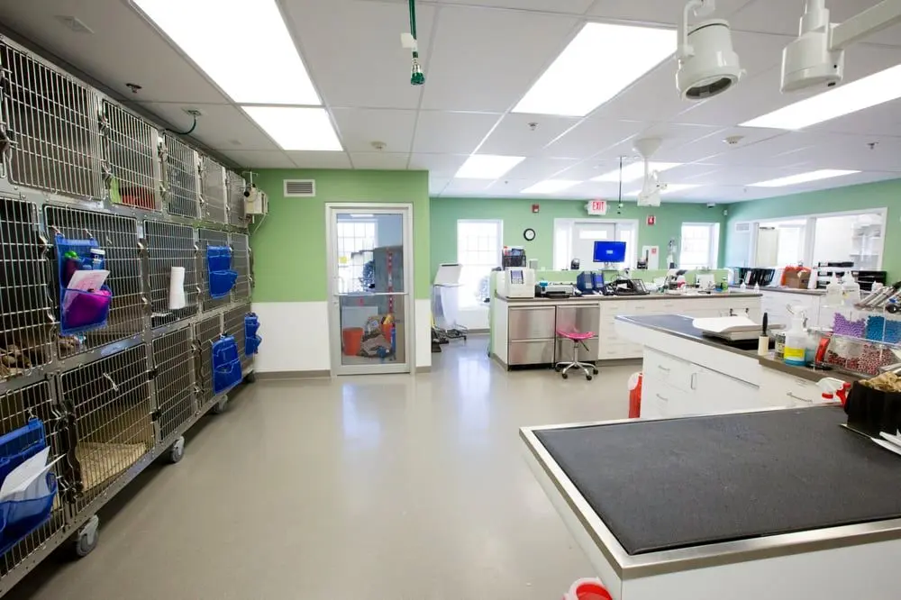 All Pets Veterinary Hospital All Pets Veterinary Hospital