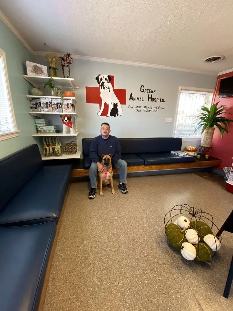 Greene Animal Hospital Greene Animal Hospital