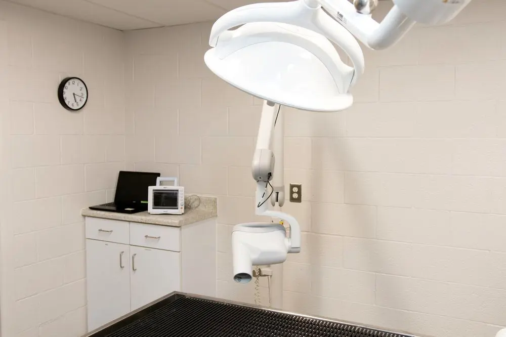 West Valley Veterinary Clinic West Valley Veterinary Clinic