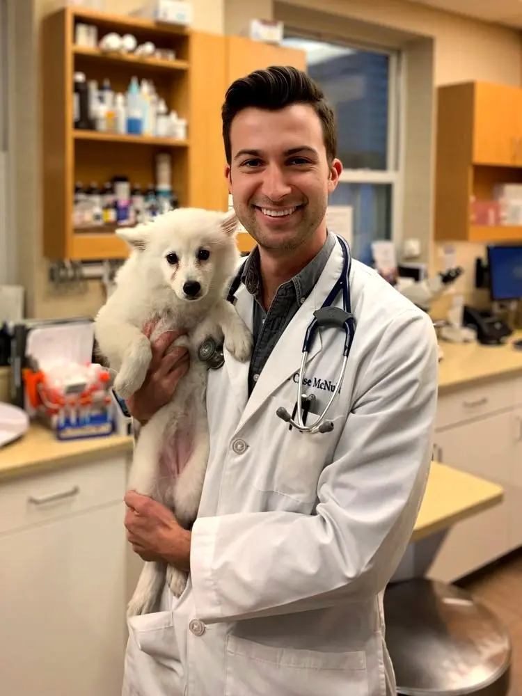 Heart of Chelsea Veterinary Group - Chelsea Heart of Chelsea Veterinary Group - Chelsea