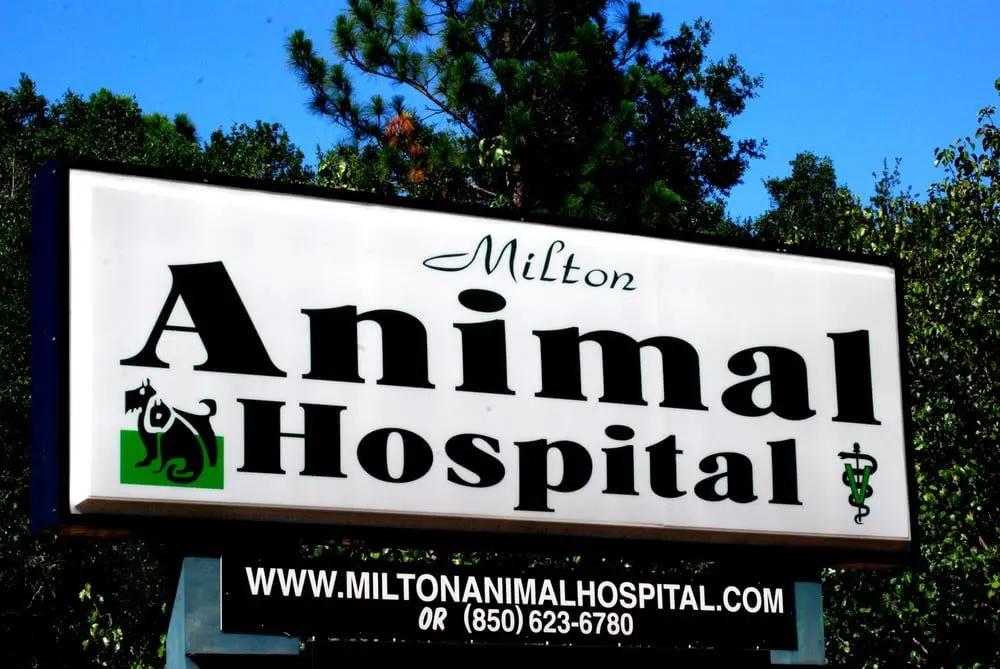 Milton Animal Hospital, 4282 Avalon Blvd Milton, FL 32583 USA