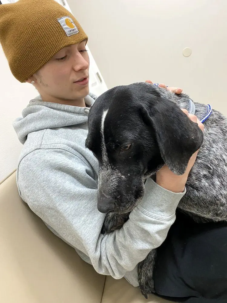 Diley Hill Animal Emergency Center