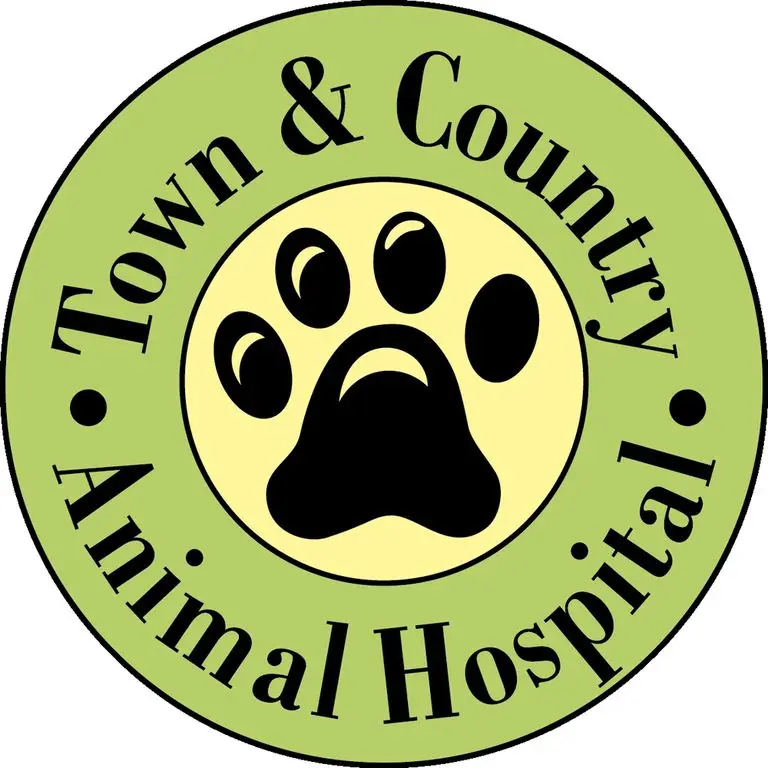 Town and Country Animal Hospital Town and Country Animal Hospital