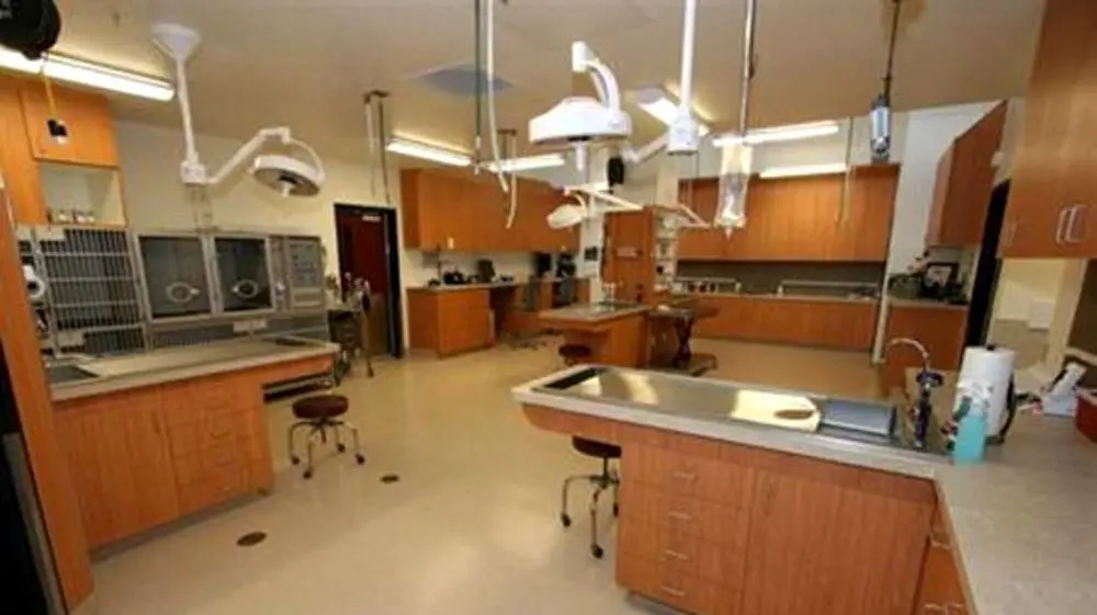 Indian Creek Veterinary Hospital Indian Creek Veterinary Hospital