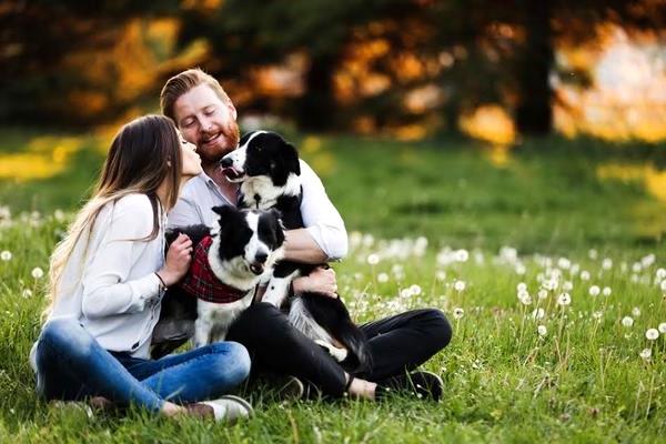 6 Tipps zum Fotografieren von Verlobungsfotos mit Ihrem Haustier
