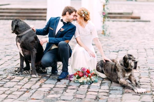 Problemas con las mascotas en su boda y cómo arreglarlas