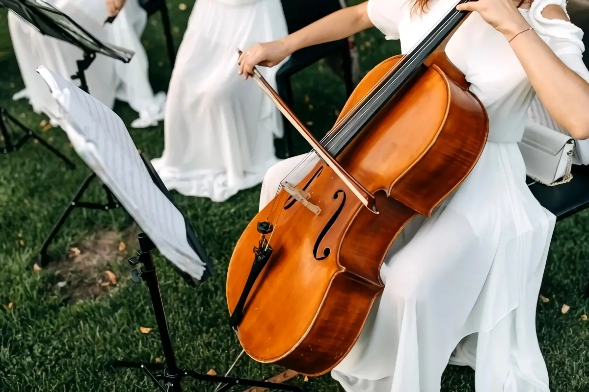 Drei Arten von Musik, die für eine traditionelle Hochzeitszeremonie benötigt werden