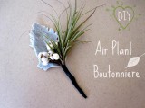 DIY Luftpflanze Boutonniere