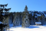 Vor- und Nachteile einer Winterhochzeit