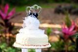 Ideas de Cake Topper para parejas LGBT