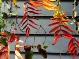 DIY Herbstblatt-Fotohintergrund