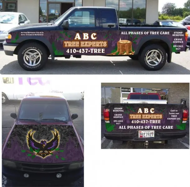 ABC Tree Removal Experts ABC Tree Removal Experts