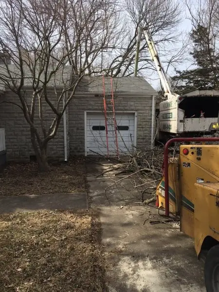 Nixdorf Tree Services Nixdorf Tree Services