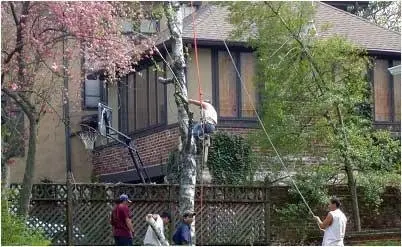 Complete Tree Service of St. Louis Complete Tree Service of St. Louis