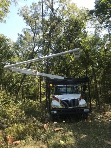 Durbin AAA Tree Services Inc Durbin AAA Tree Services Inc