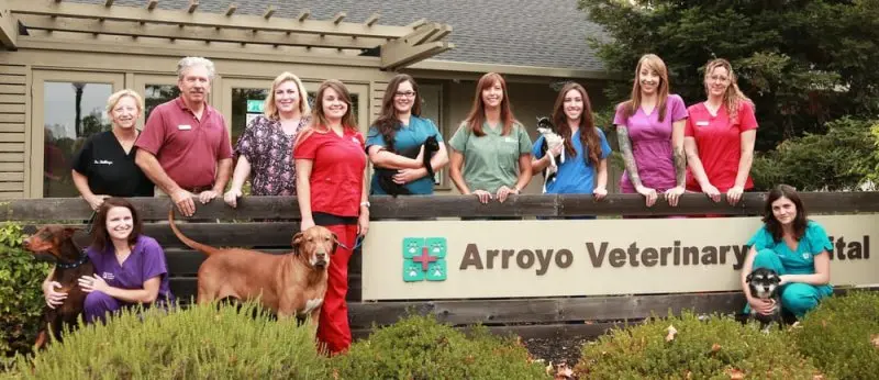 Arroyo Veterinary Hospital