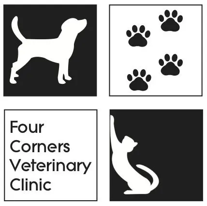 Four Corners Veterinary Clinic
