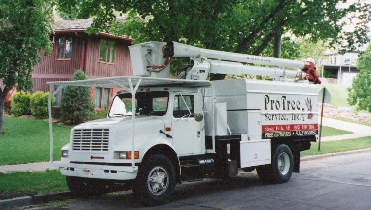 Pro Tree Service