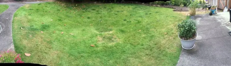 A 1 Lawn Service A 1 Lawn Service