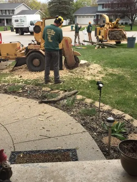 AAA Tree Service AAA Tree Service