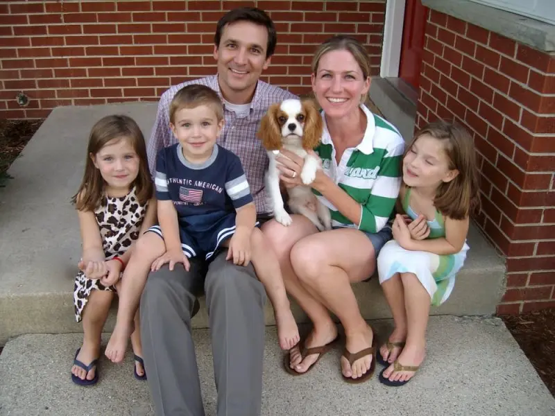 Amiable Dog Training Amiable Dog Training