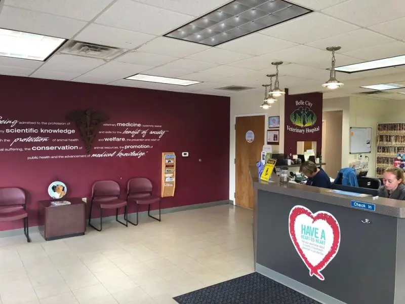 Belle City Veterinary Hospital Sc Belle City Veterinary Hospital Sc