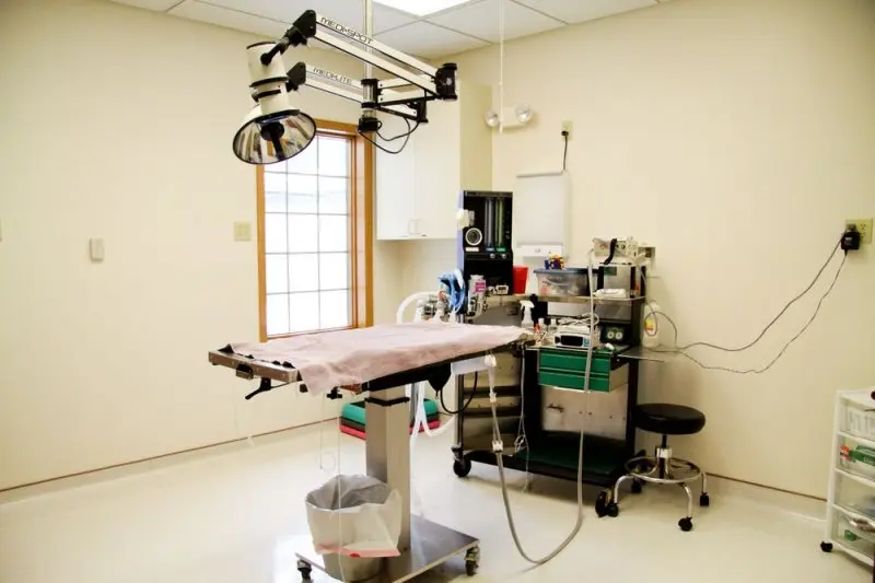 Country View Veterinary Service Country View Veterinary Service
