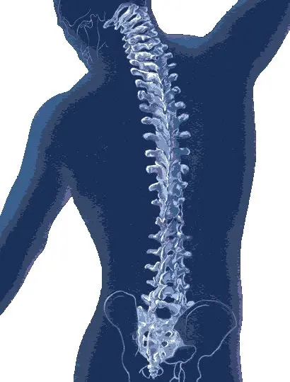 Back Country Chiropractic & Wellness Center Back Country Chiropractic & Wellness Center
