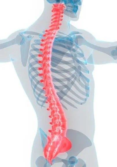 Alpine Chiropractic & Acupuncture Alpine Chiropractic & Acupuncture