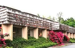 Bellevue Acupuncture Clinic Bellevue Acupuncture Clinic