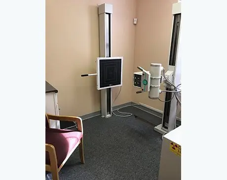 The Back Pain Center The Back Pain Center