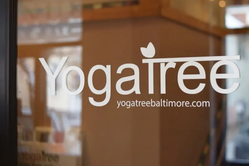 Yoga Tree Yoga Tree