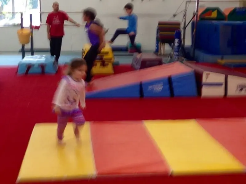 Cats Gymnastics Cats Gymnastics