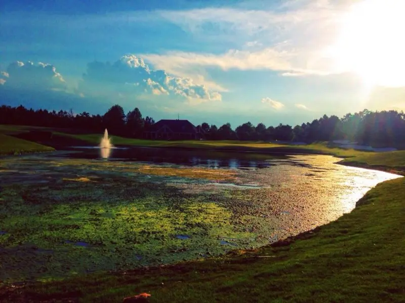 Windermere Golf Club Windermere Golf Club