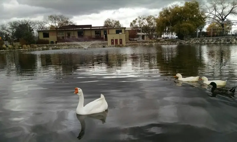 Ashley Pond Park Ashley Pond Park