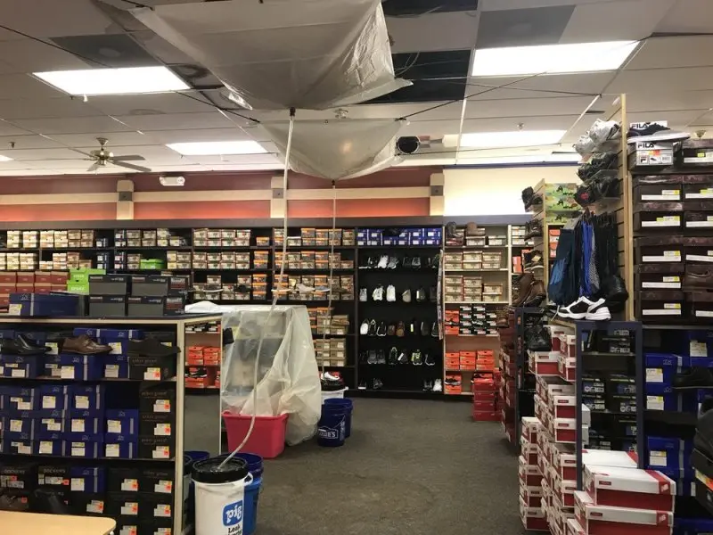 Shoe Dept. Encore Shoe Dept. Encore